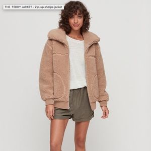 Aritzia brown The Teddy Coat
